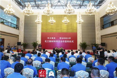 潍坊孚日集团最新爆料,揭秘企业转型与市场布局新动向  第3张