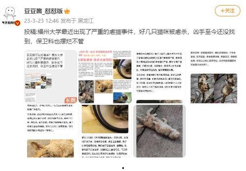 福州自媒体爆料事件视频,视频揭露惊人真相