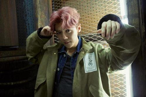 鹿晗最新消息爆料视频,独家爆料视频大揭秘